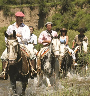 Travel Agents/Tour Leaders